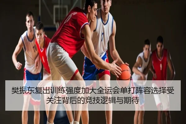 樊振东复出训练强度加大全运会单打阵容选择受关注背后的竞技逻辑与期待