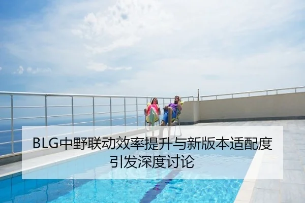 BLG中野联动效率提升与新版本适配度引发深度讨论
