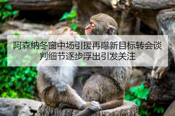 阿森纳冬窗中场引援再曝新目标转会谈判细节逐步浮出引发关注